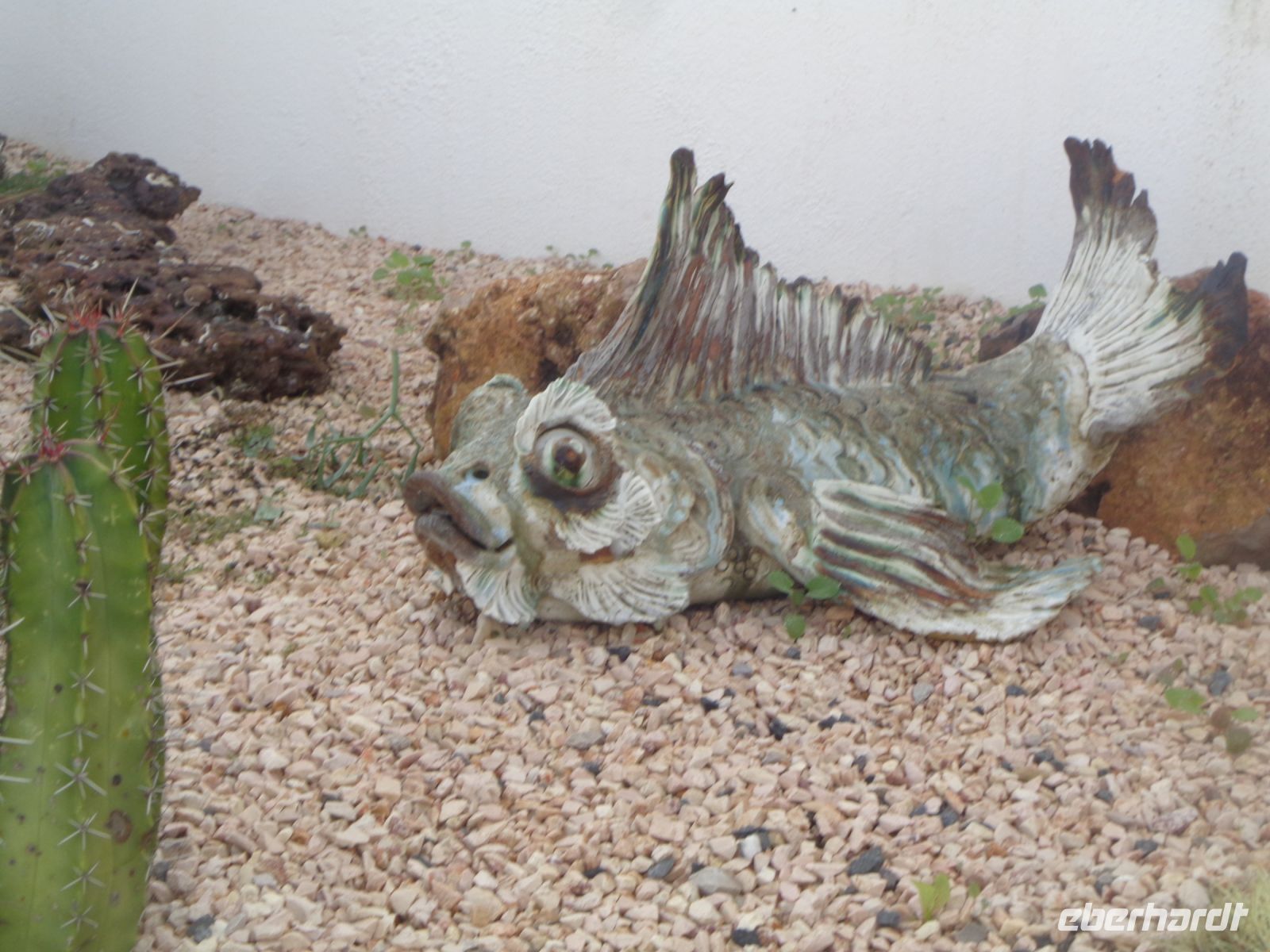 Cabo-Fisch