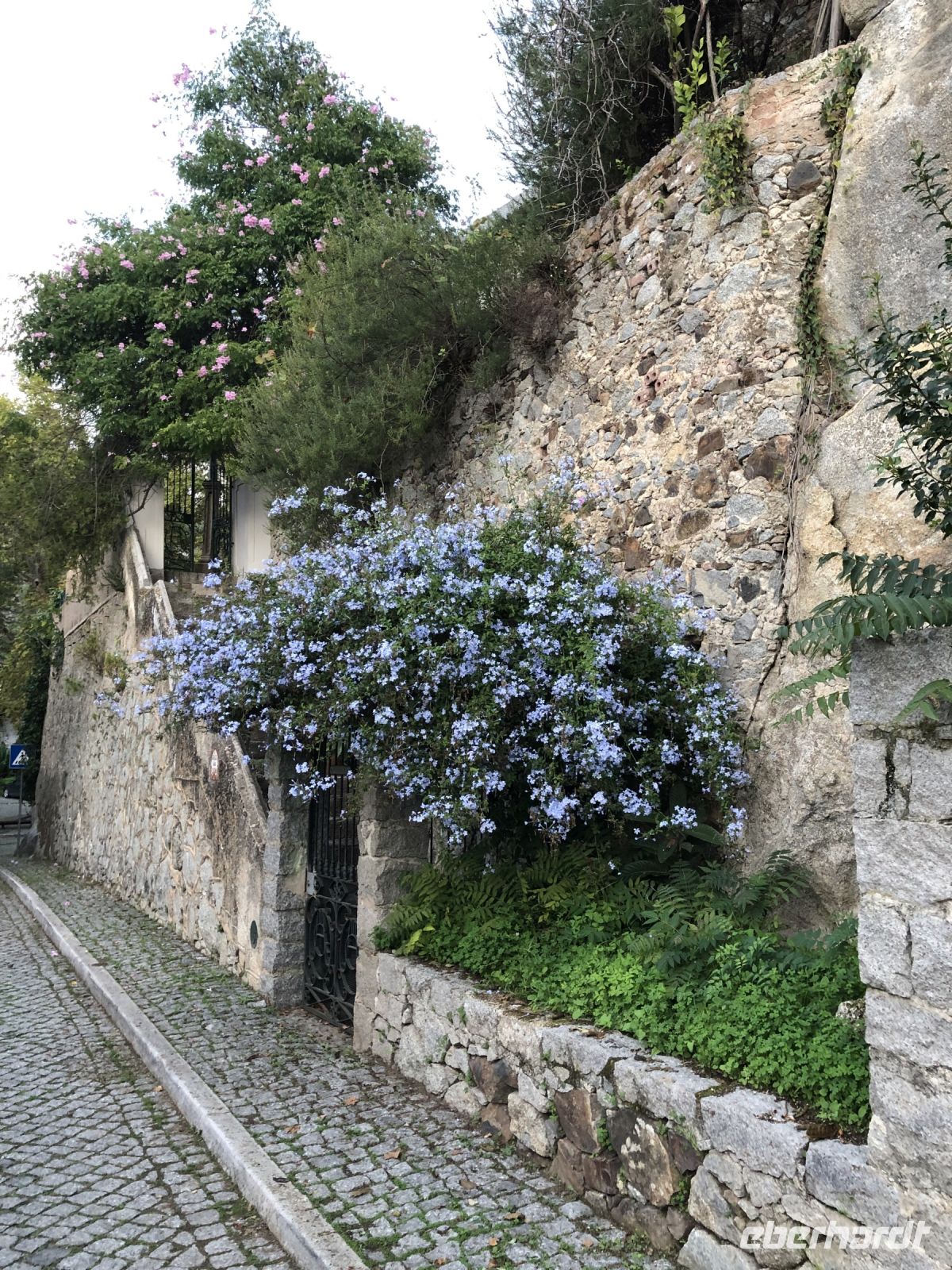 Caldas de Monchique