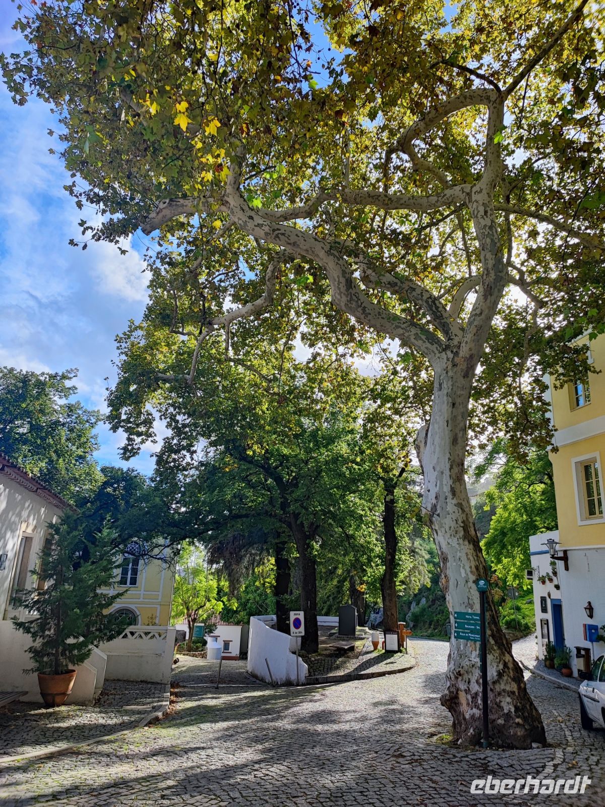 Caldas de Monchique