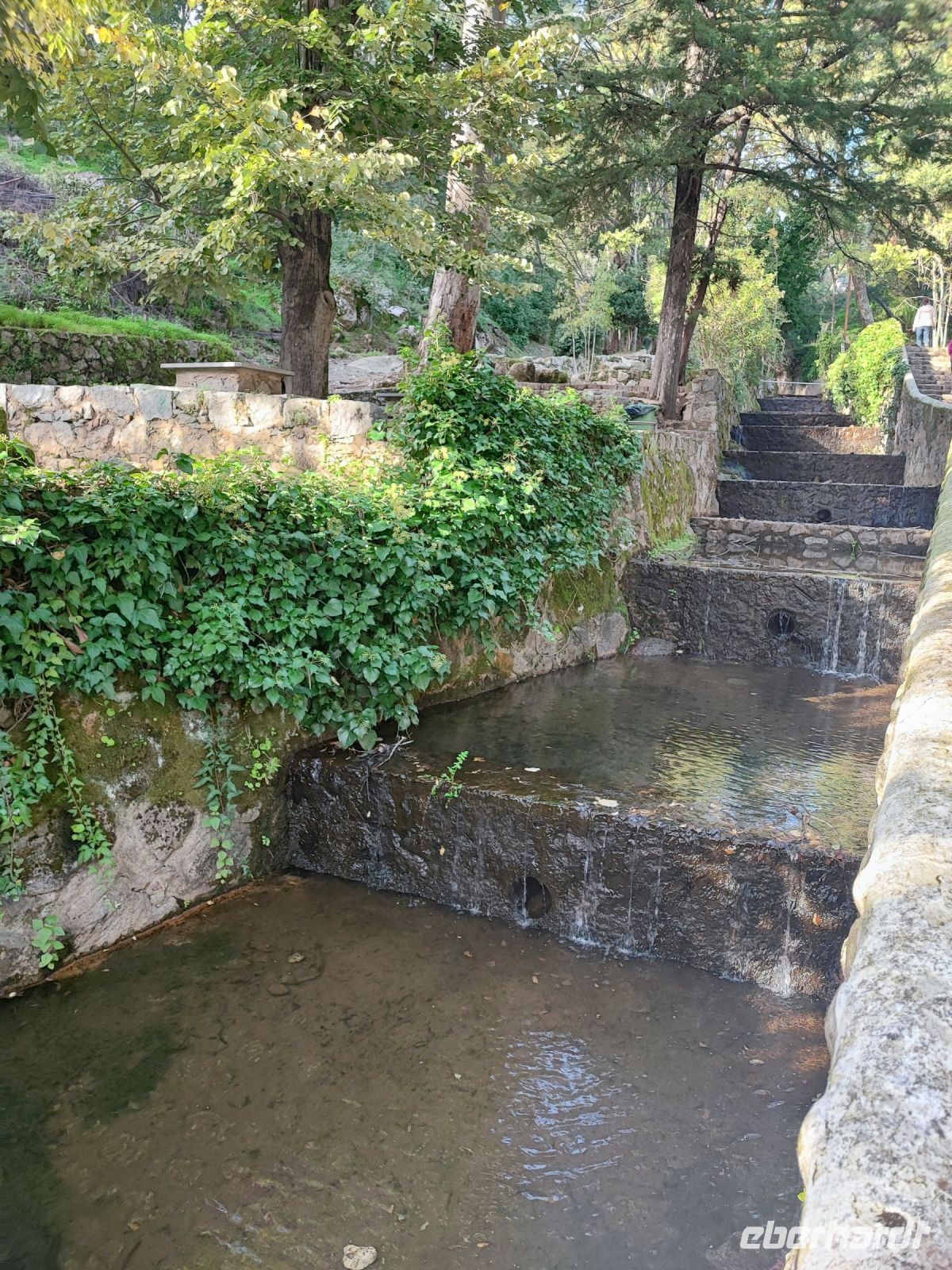 Caldas de Monchique