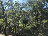 Caldas de Monchique