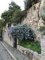 Caldas de Monchique