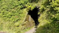 Caldeira, Faial Island, Horta, Azores, Portugal