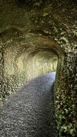 Caldeira, Faial Island, Horta, Azores, Portugal
