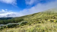 Caldeira, Faial Island, Horta, Azores, Portugal