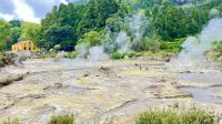 Caldeiras da Lagoa das Furnas, São Miguel Island, Povoação, Azores, Portugal