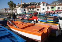 Camara de Lobos (4)