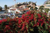 Camara de Lobos (7)