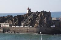 Camara de Lobos (8)