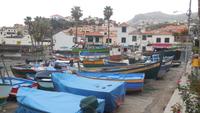 Camara de Lobos. 