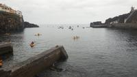 Camara de Lobos. 