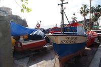 Camara de Lobos