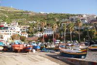 Camara de Lobos