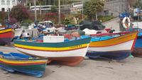 Camara de Lobos
