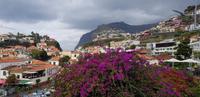 Camara do Lobos 