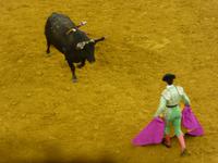 Campo Pequeno - Stierkampfarena Lissabon