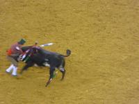 Campo Pequeno - Stierkampfarena Lissabon