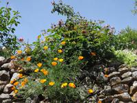 Castelo Rodrigo - ohne Worte