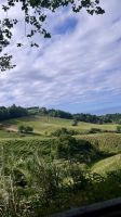 Chà Gorreana, São Miguel Island, Ribeira Grande, Azores, Portugal