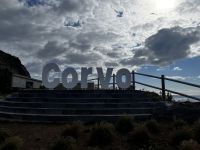 Corvo