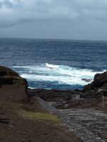DSC_1567.JPG