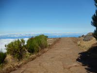 Der Weg ins nichts