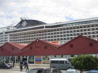 Die MSC 