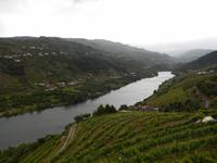 Douro-Tal