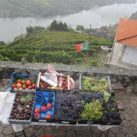 Douro