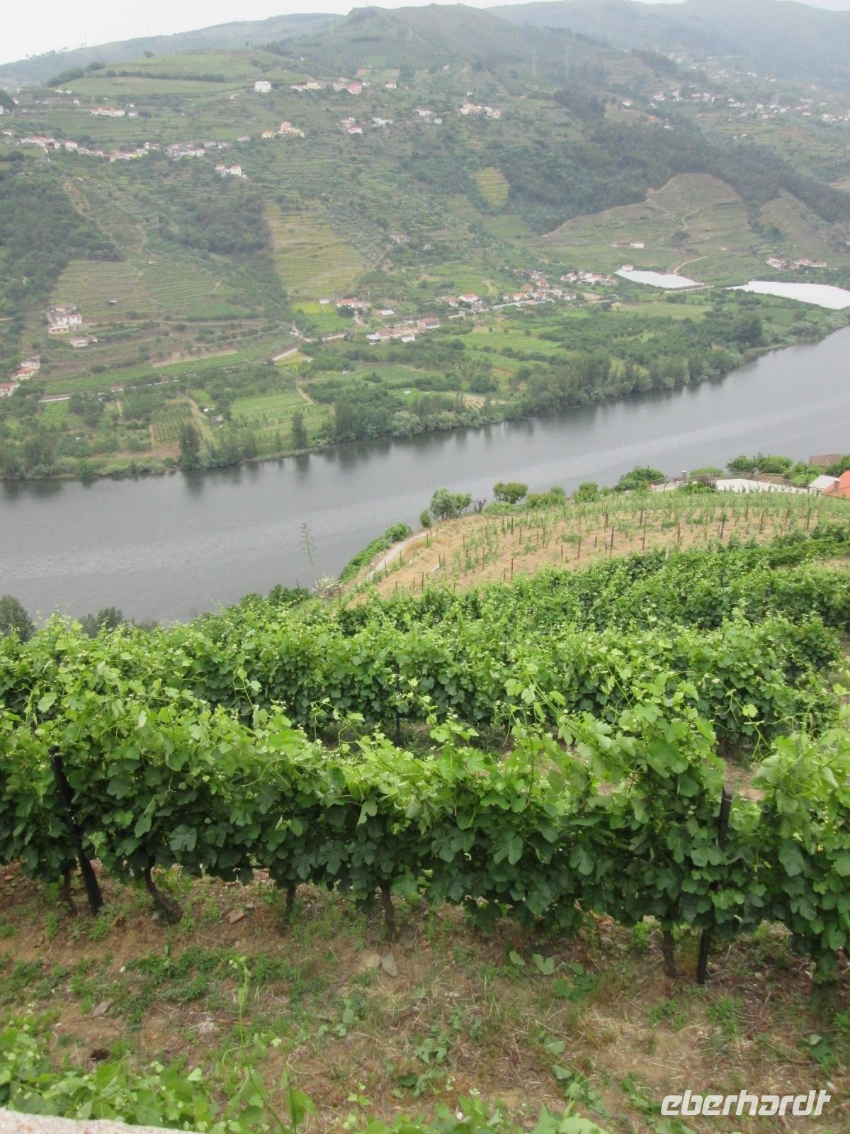 Duoro-Tal