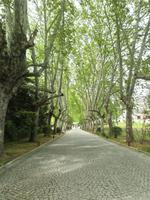 Eingang Quinta