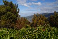Encumeada Pass (4)
