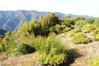 Encumeada Pass (5)
