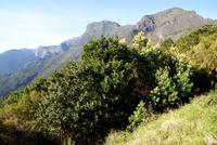 Encumeada Pass