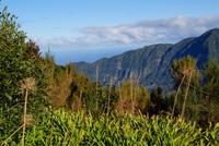 Encumeada Pass