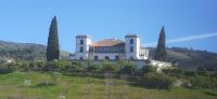Fahrt auf dem Douro