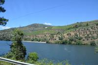 Fahrt entlang des Douro