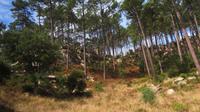 Fahrt zum Cabo da Roca