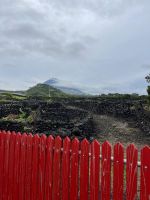 Farbtupfer auf Pico