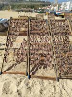 Fisch im Trockengang