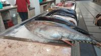 Fisch in der Markthalle in Funchal, Madeira