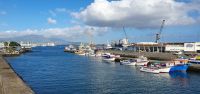 Fischerhafen in Pontadelgada