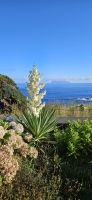 Flores, Inatel mit Blick nach Corvo