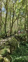 Flores, Wanderung zu den Wasserfällen