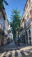Flusskreuzfahrt Douro - Altstadt in Porto