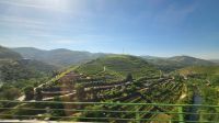 Flusskreuzfahrt Douro - Ausflug zum Palast von Mateus