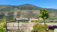 Flusskreuzfahrt Douro - Quinta da Roeda im Douro-Tal