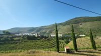 Flusskreuzfahrt Douro - Quinta do Roeda im Douro-Tal