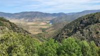 Flusskreuzfahrt Douro - Rückfahrt zum Schiff