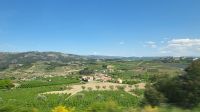 Flusskreuzfahrt Douro - Weinanbaugebiet